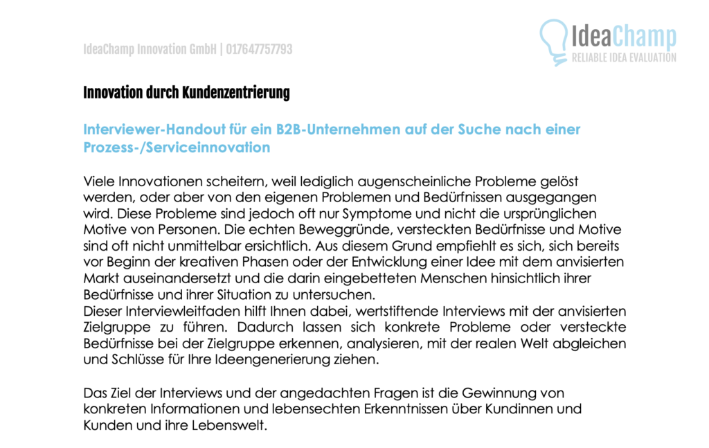 Interviewer-Handout für ein B2B-Unternehmen auf der Suche nach einer Serviceinnovation IdeaChamp Academy