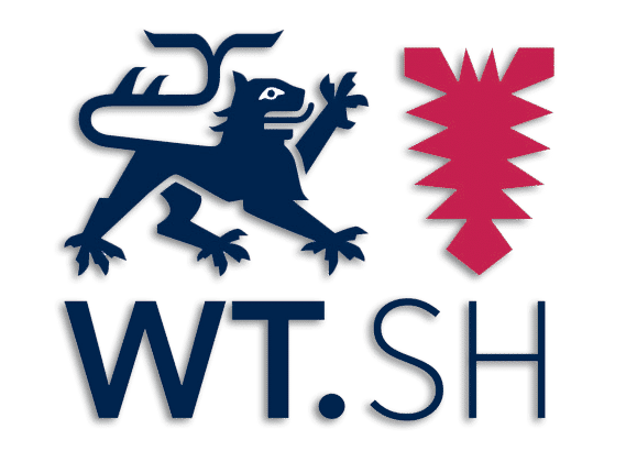Fallstudie Innovation Logo Wirtschaftsförderung- und Technologiestransfer GmbH
